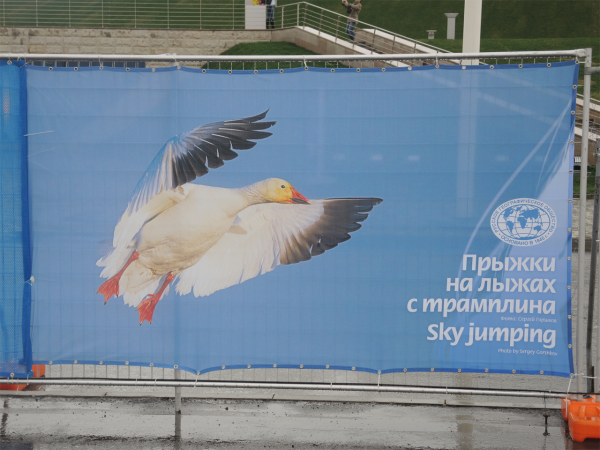 Смешное на Олимпиаде в Сочи-2014